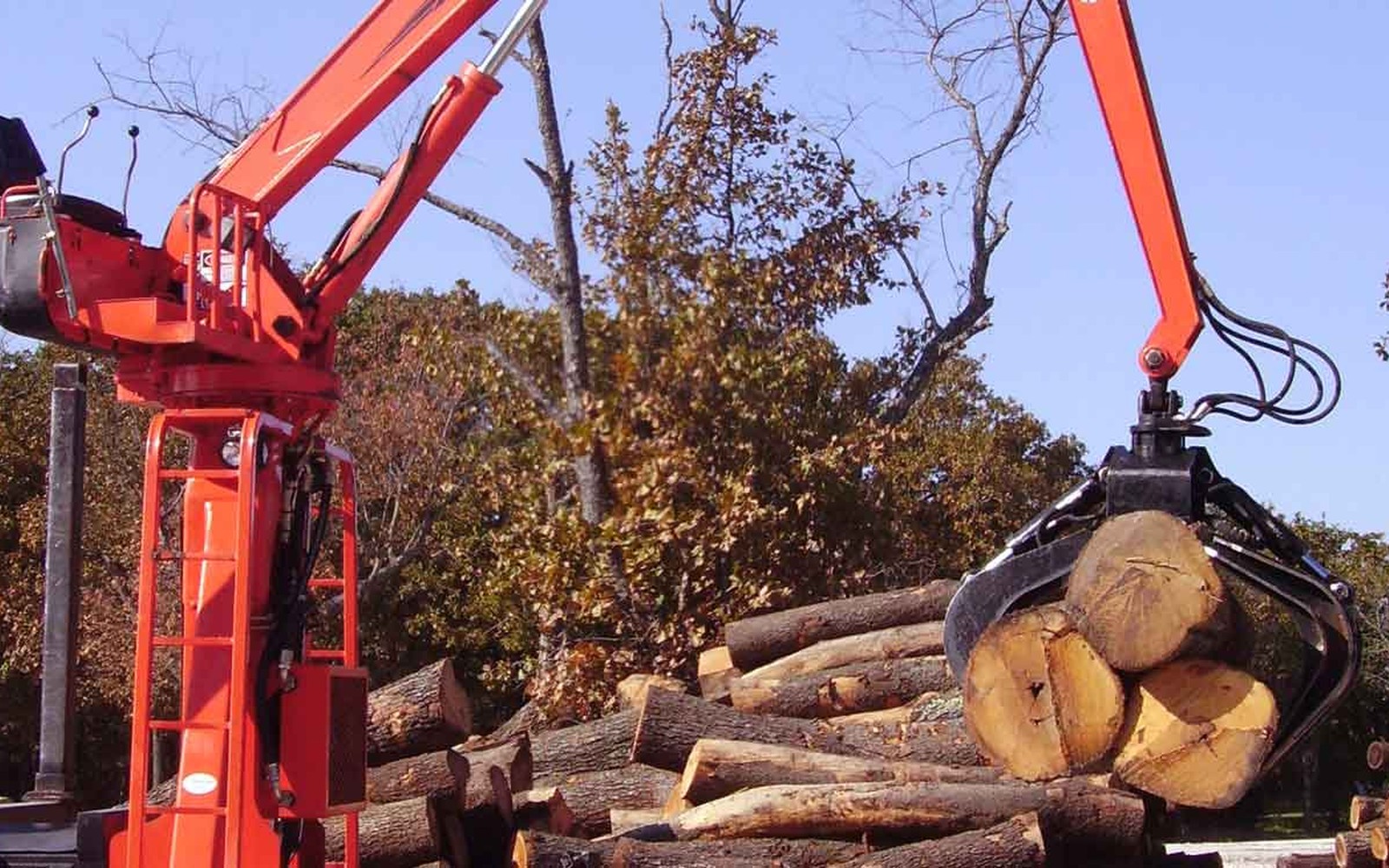 Arborists And Tree Care
